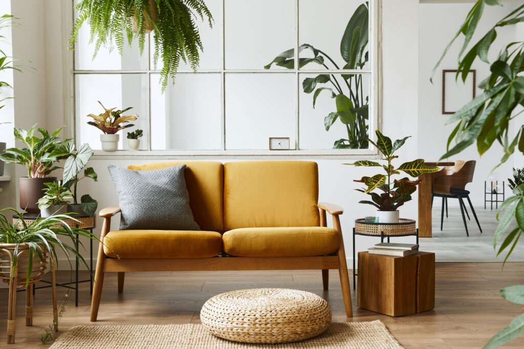 Residential, Commercial, Land, Multi-Use, & Rental Real Estate