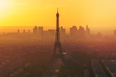 International Relocation Company